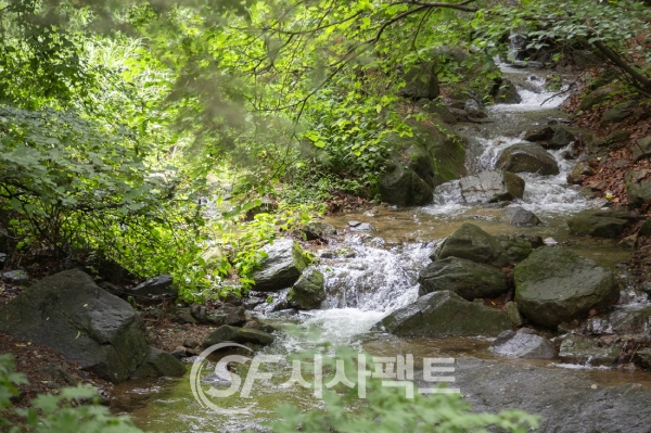 청계산맑은숲공원 [사진=의왕시청]