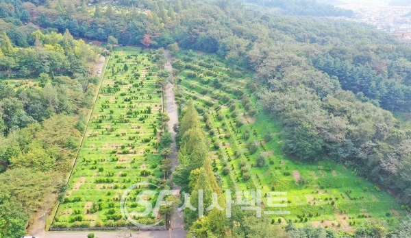 안산시, 설연휴 공설공원묘지 온라인 성묘 실시(꽃빛공원) [사진=안산시청]